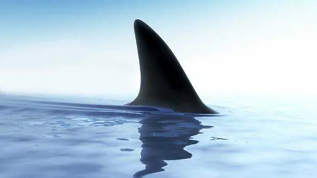 Челюсти определил политиката на Австралия срещу акулите