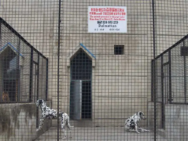 В зоопарка на Пхенян (снимки)