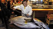 Червена риба тон бе продадена за 37 хил. долара в Япония