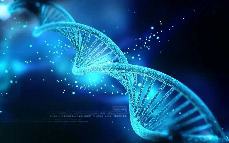 Откриха ген, удължаващ живота