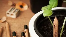 Моливът, който се превръща в растение