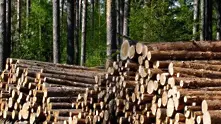 Шествия на природозащитници и протести на дърводобивни фирми