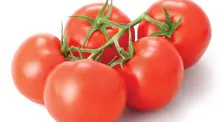 Кризата с КТБ виновна за изчезването на българския домат