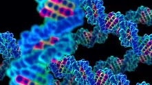Учени успяха да редактират генома на човешки ембриони