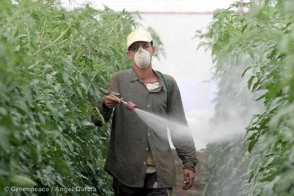 На кого вредят пестицидите? Нов доклад от „Грийнпийс“ 