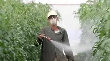 На кого вредят пестицидите? Нов доклад от „Грийнпийс“ 