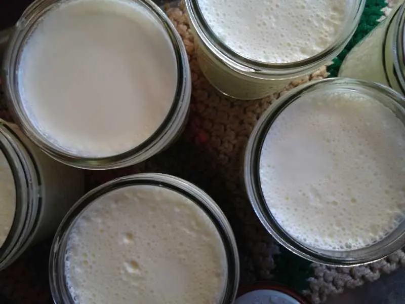 Етикет с трикольора ще обозначава българските млечни продукти