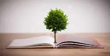 Книгата, която се превръща в дърво