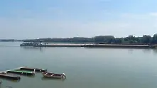 Ниски води спряха корабите по Дунав