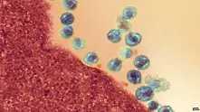 Учени отстраниха ХИВ чрез лекарство срещу рак