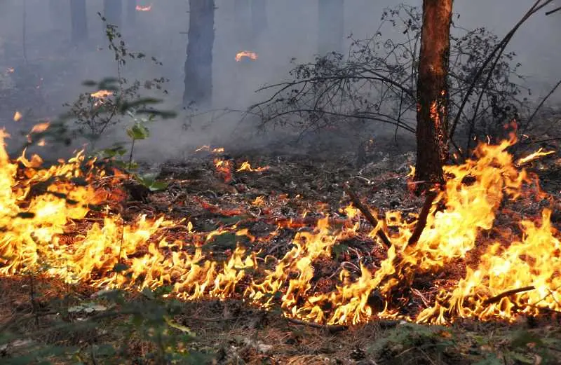 Екстремно висок риск от пожари в Ямболска и Хасковска област днес