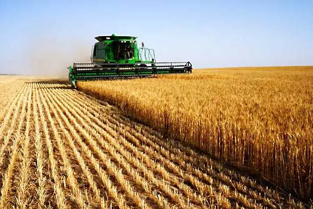 Българското земеделие търпи рекордни загуби от руското ембарго