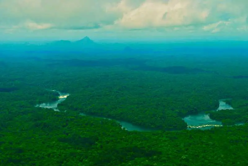 Древна Амазония била процъфтяваща градина с милиони хора