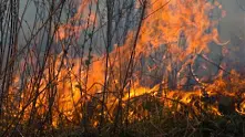 Пожарът в Елховско е овладян
