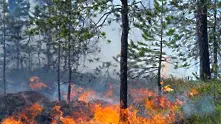 Пожарът в Рила е локализиран