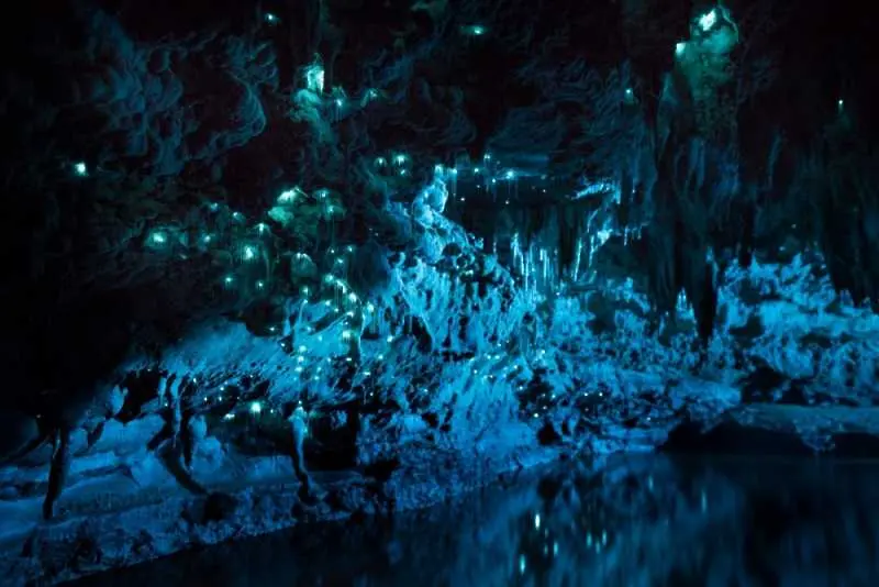 Пещера в Нова Зеландия крие тайна, която не се среща никъде другаде по света