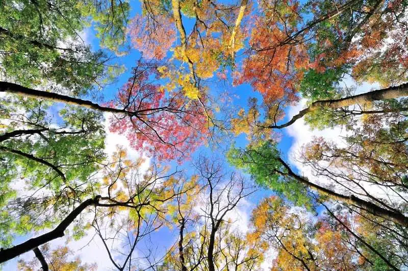 20 снимки, които ни напомнят за фантастичната красота на есента