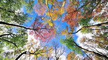 20 снимки, които ни напомнят за фантастичната красота на есента