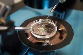 Учени се застъпиха за генното модифициране на човешки ембриони