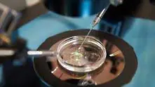 Учени се застъпиха за генното модифициране на човешки ембриони