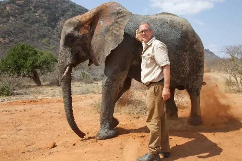 National Geographic разследва незаконната търговия на слонова кост