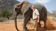 National Geographic разследва незаконната търговия на слонова кост