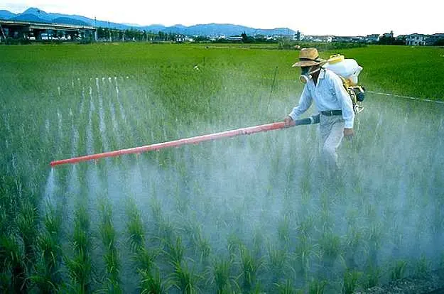 Грийнпийс: Европа е пристрастена към пестицидите