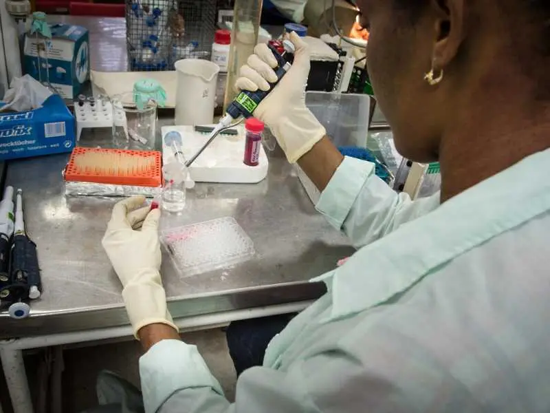 Малариен протеин ефективно бори рака