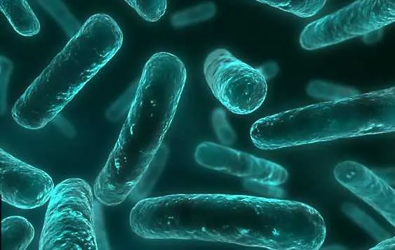 Във Великобритания откриха устойчива на колистин бактерия 