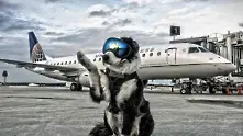 Това необикновено куче пази пистите на едно летище