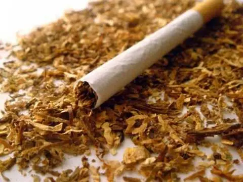 Затягат контрола върху производители и вносители на нови тютюневи изделия