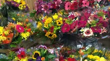 НАП с крайни мерки към търговци на цветя
