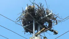 210 нови платформи за щъркелови гнезда монтира EVN по електрически стълбове