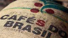 Проучване: Кафето е застрашено от изчезване