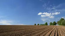 Къде е най-скъпата земеделска земя в България?