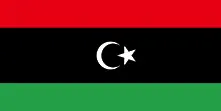 Либия обяви всеобща мобилизация