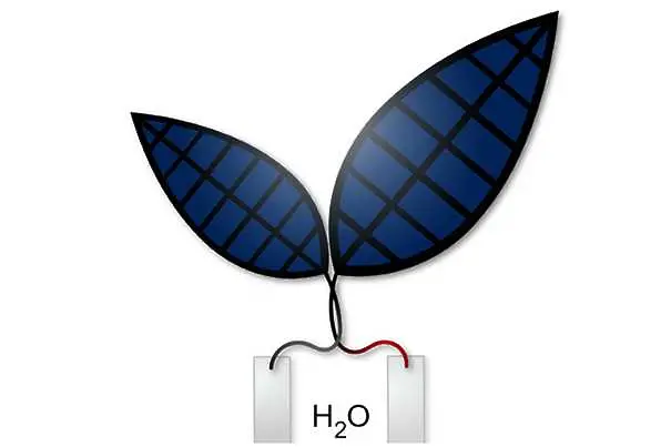 „Изкуствено листо“ превръща слънчевата енергия в гориво