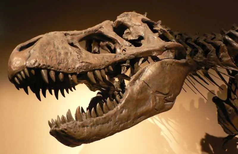 Първите бозайници измрели заедно с динозаврите