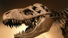 Първите бозайници измрели заедно с динозаврите