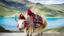 Разходка из Тибет: Живописни гледки от „покрива на света“