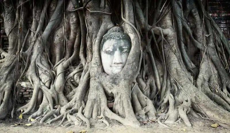 Фотогалерия: Величието на Буда