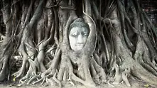 Фотогалерия: Величието на Буда