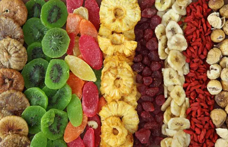 Проф Донка Байкова: Сушените плодове и зеленчуци запазват до 90% от витамините си