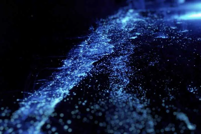 Фитопланктон създава невероятни вълни на Малдивите
