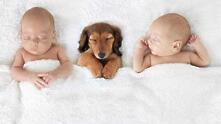 Бебета близнаци в умилителни снимки