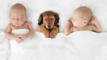 Бебета близнаци в умилителни снимки