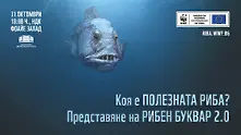 Днес е международният ден на Черно море
