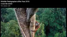 Конкурсът 2016 WPY отличи най-страхотните снимки на дивата природа в света