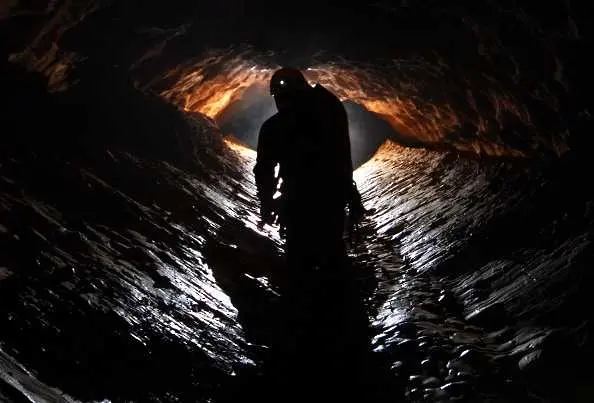 Откриха 30 нови животински вида в хърватски пещери