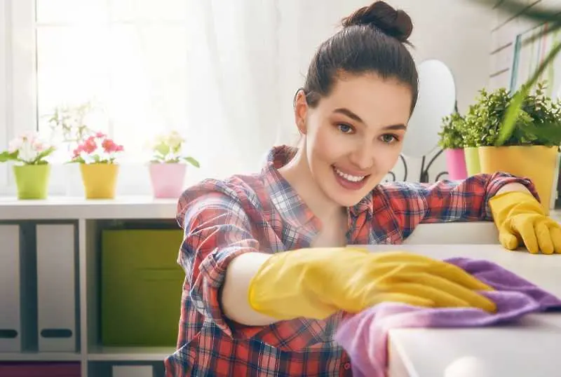 7 стъпки до най-бързото почистване на цялата къща